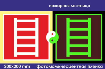 F03 пожарная лестница (фотолюминесцентная пленка, 200х200 мм) - Знаки безопасности - Знаки пожарной безопасности - vektorb.ru